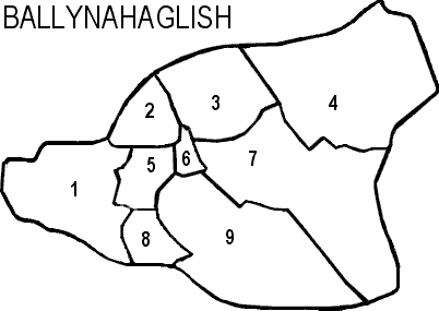 Ballynahaglish Civil Parish