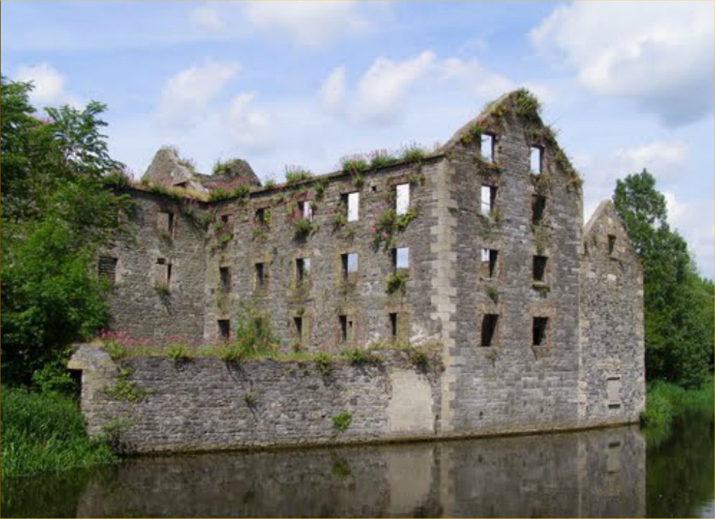 Bagenalstown Mill 