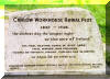 Carlow Workhouse Burial Plot. Image by M. Brennan c1999.