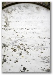 12_anderson_robert_closeup.jpg