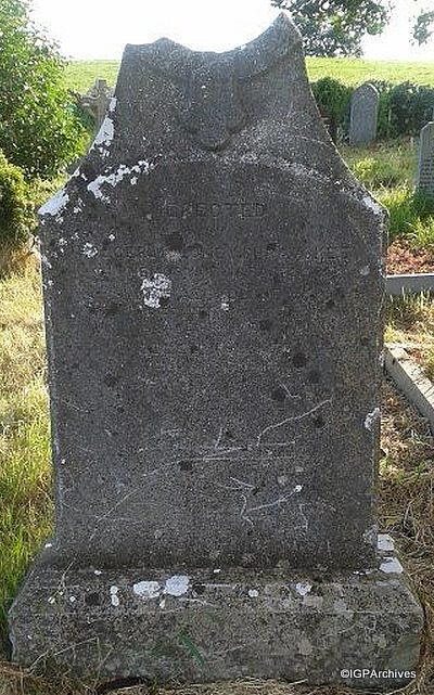 41_moloney.jpg (large)
