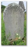113_wilson.jpg