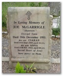 83_mcgarrigle.jpg