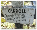 098_carroll.jpg
