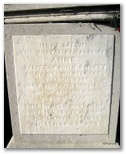 15046_shortt.jpg