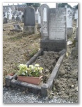 21884_lewis.jpg