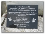 21894_taylor.jpg