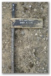 21910_maloney.jpg