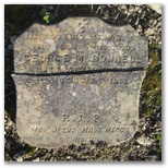 21996_mcdonnell.jpg