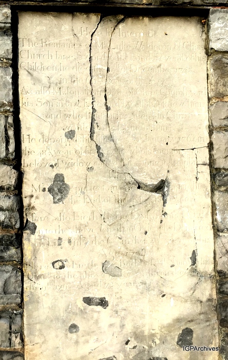 60_walderon.jpg (large)