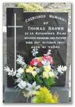1816_brown.jpg
