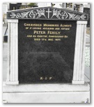 1881_fehily.jpg