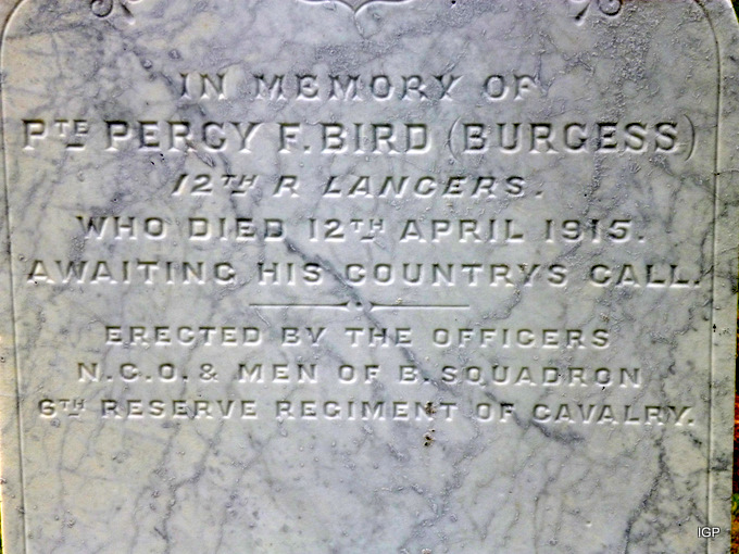 1ww_bird_burgess.jpg (large)