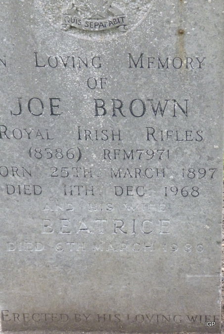 brown_joe.jpg (large)