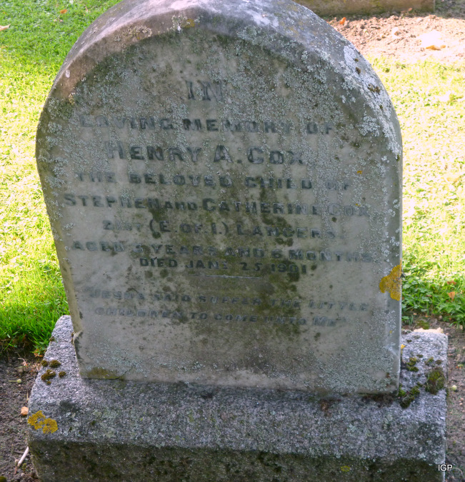cox_henry.jpg (large)