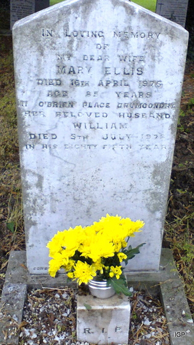 ellis_william.jpg (large)