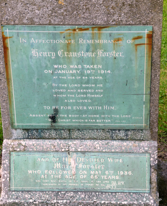 forster_henry.jpg (large)