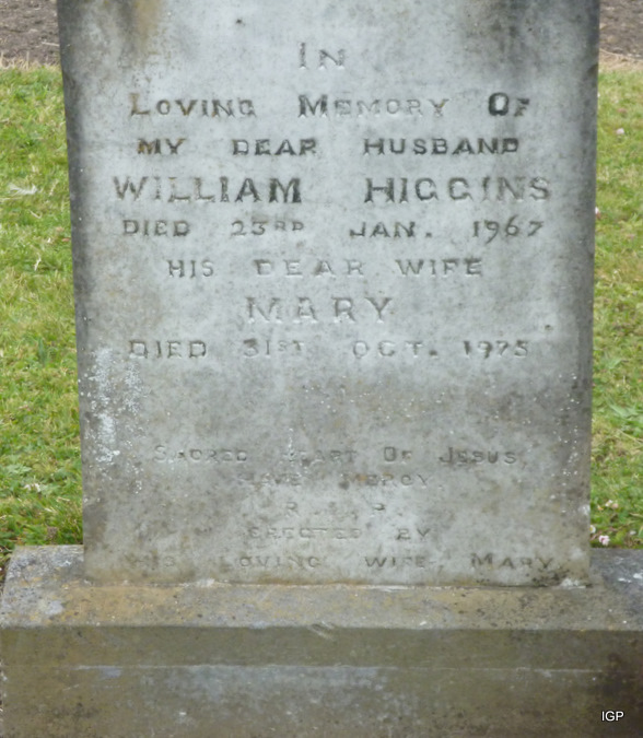 higgins.jpg (large)