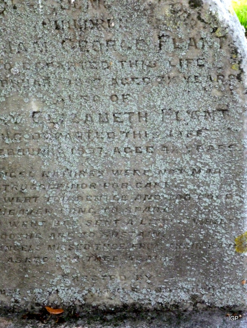plant_william_george.jpg (large)