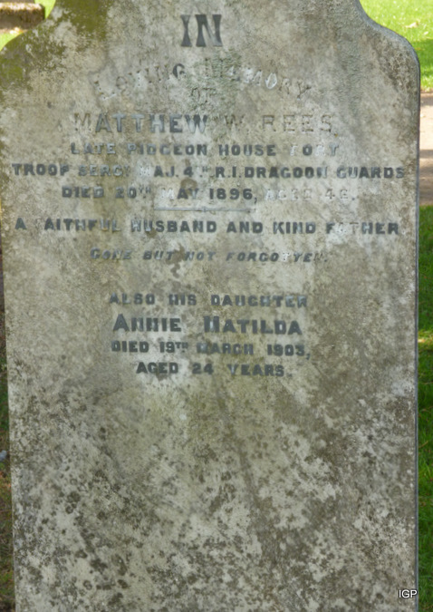 rees_matthew.jpg (large)