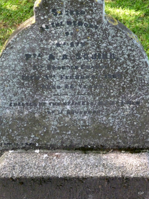 squibb.jpg (large)