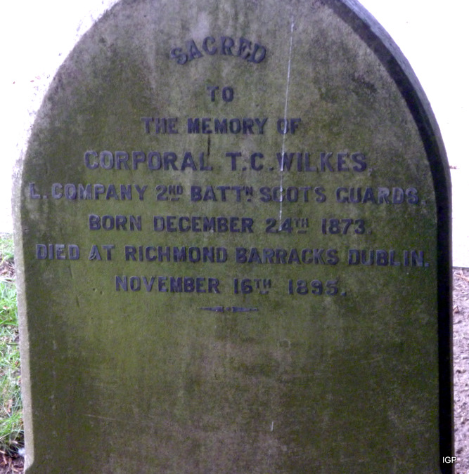 wilkes_t_c.jpg (large)