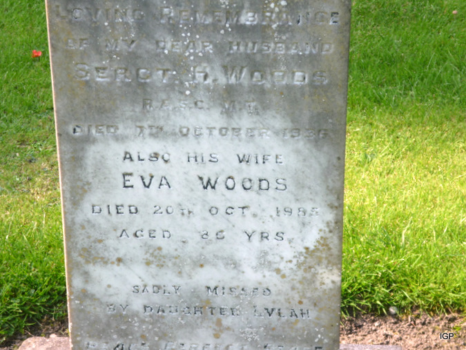 woods_eva.jpg (large)