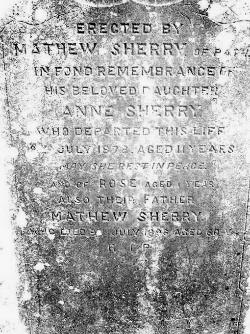 184_sherry_mathew_anne_2.jpg (large)