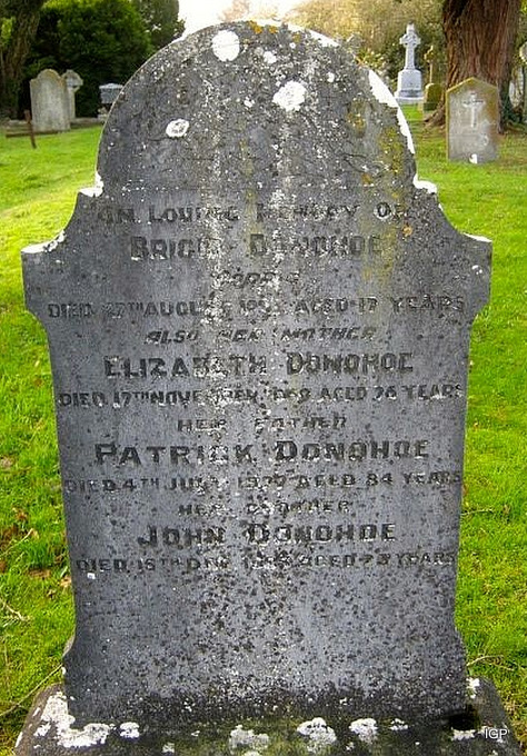 69_donohoe_brigid_elizabeth.jpg (large)