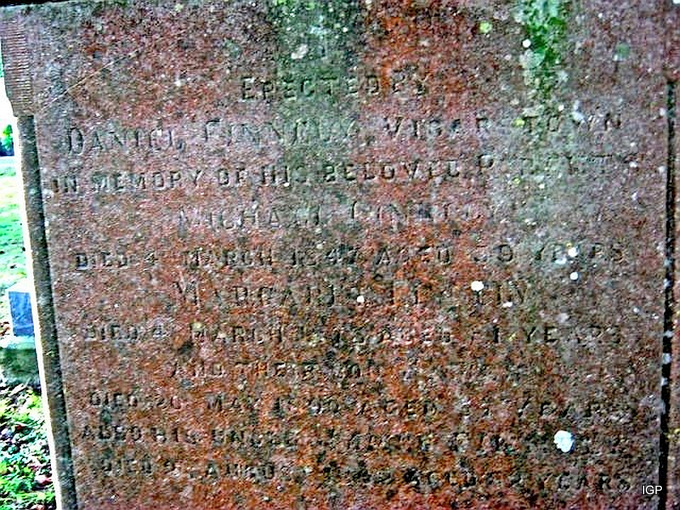 97_finnely_daniel_vicarstown.jpg (large)
