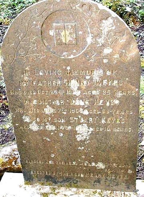 10_keyes_henry_jane_stuart.jpg (large)