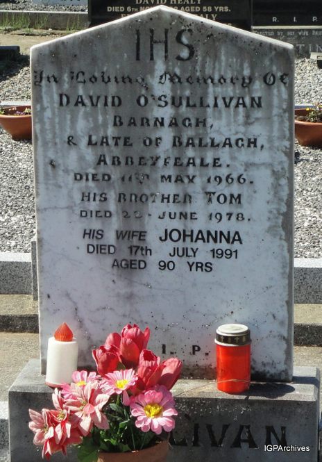 746_o_sullivan_david_tom.jpg (large)