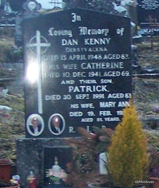 5_kenny_dan_catherine_derryvackna.jpg (large)