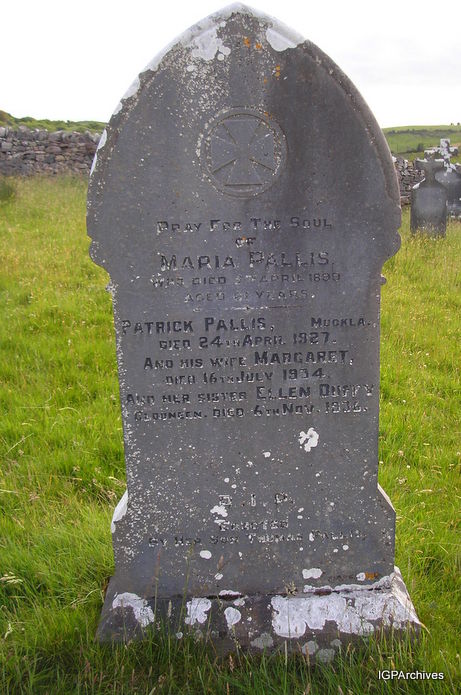 118_pallis.jpg (large)