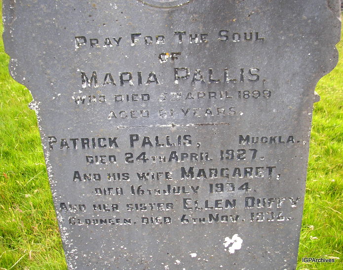 119_pallis.jpg (large)
