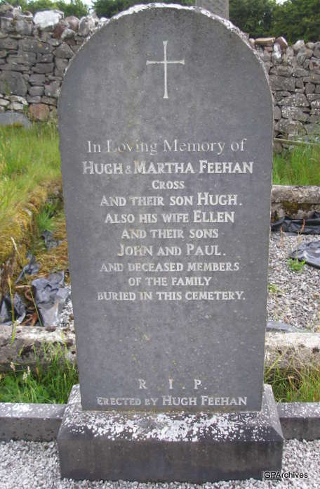 18_feehan.jpg (large)