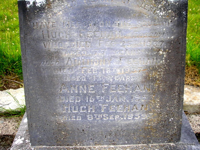 55_feehan.jpg (large)