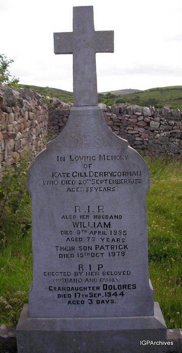 93_gill.jpg (large)