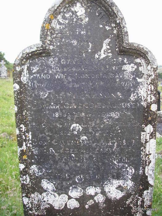 315_gaven_thomas_honoria_michael.jpg (large)