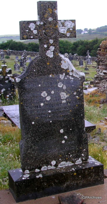 321_sammon_michael.jpg (large)