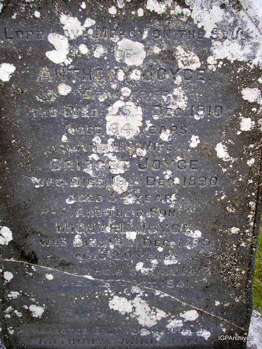 339_joyce_anthony.jpg (large)