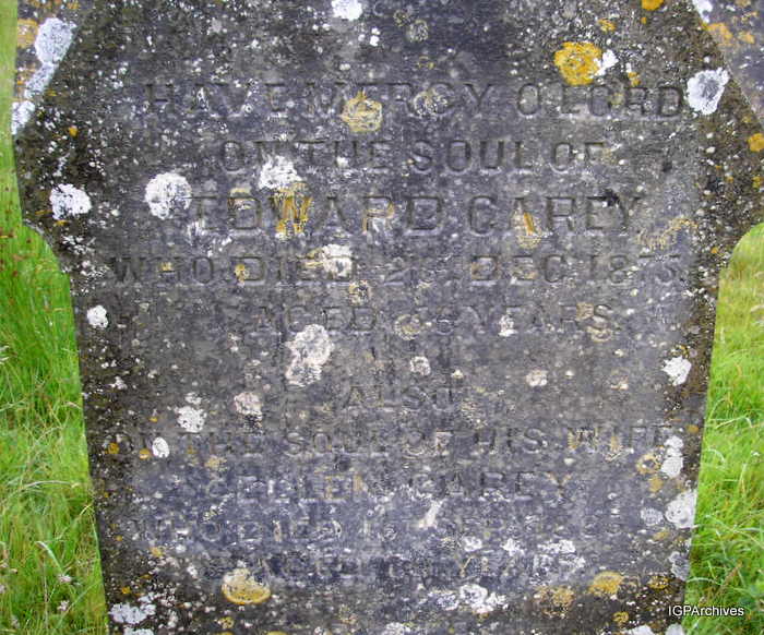 350_carey_edward.jpg (large)