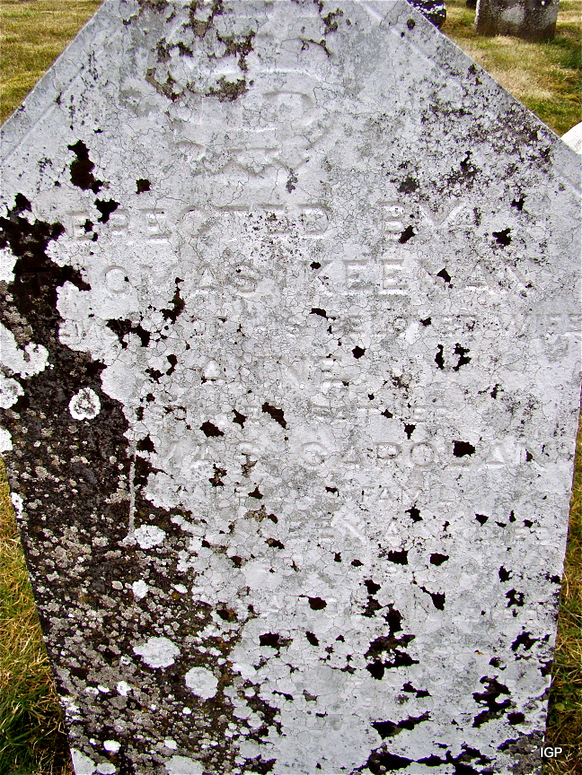 31_kkeenan_thomas.jpg (large)