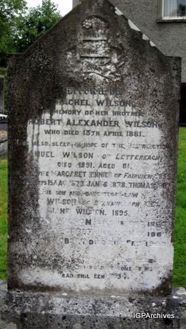 19_wilson.jpg (large)