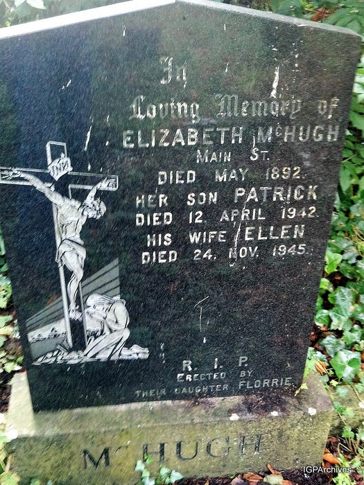 11_mchugh.jpg (large)