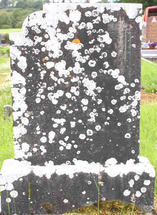 29_foley_thomas_margaret.jpg (large)