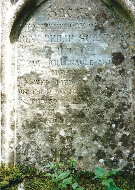 scanlan_rev_philip_1.jpg (large)