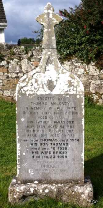 24_moloney_bridget_thomas.jpg (large)