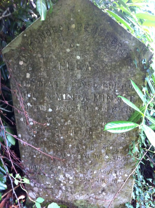 7_minnitt_ella_william_minta.jpg (large)