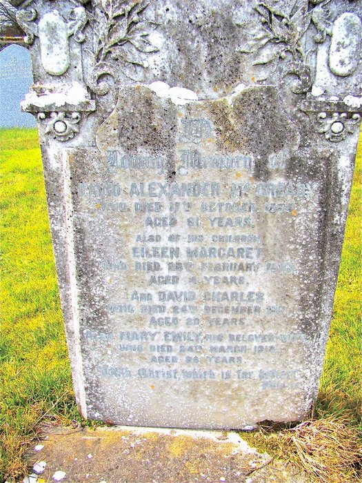 mccready_david_mary.jpg (large)